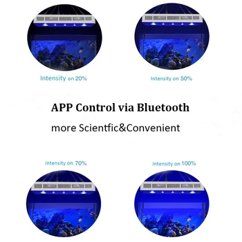Populargrow Bluetooth Управление на 169 W Морски Led Аквариумный Лампа за Аквариума с Коралови Рифове Димиране Аквариумный Led Лампа Три Канала Изображение 2