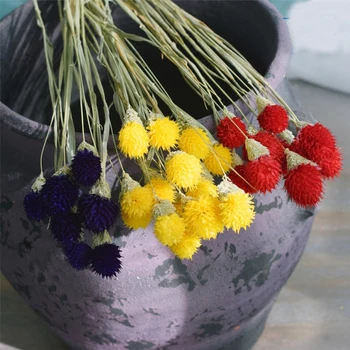20pcs букети от сухи цветя, отглеждани по естествен начин, букети от Гомфрены глобозы и букети от цветя от амарант Изображение 2