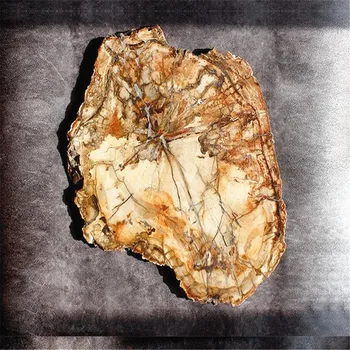 70-1,3 кг Естествен мадагаскарского вкаменената дърво полироль за кристал за мебели за дома Изображение 2