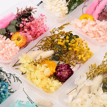 Купи 5 Получите 1 Безплатно Естествени сухи цветя DIY Материали, сухи цветя, Декоративни Аксесоари Комплект Сухоцветов САМ Материал ръчно изработени Изображение 2